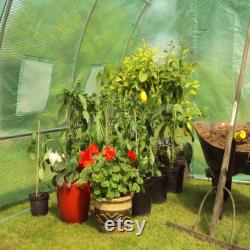 Pro Polytunnel Greenhouse Grow Tent Poly Tunnel Polly Tunnel. The Strongest In It's Class Four Sizes 3m x 2m, 4m x 2m, 4m x 3m or 6m x 3m