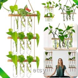 Propagation Station 3 Layered Hydroponics, Terrarium Container, Propagation Tube, Plant gifts