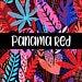 Rare Panama Red 12pk