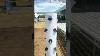 Real Results Hydroponic Tower In Saipan Hydroponic Hydroponicfarming Greenhouse Farm Soilless