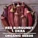 Red Burgundy Okra Seeds, 50 Count Organic Red Burgundy Okra Seeds, Heirloom Vegetable Aas Winner Open Pollinated Non-gmo