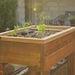 Red Cedar 50 Gallon Aquaponic Raised Planter