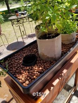 Red Cedar Ten Gallon Aquaponic System (US Shipping Included)