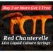 Red Chanterelle Mushroom Liquid Culture Syringe