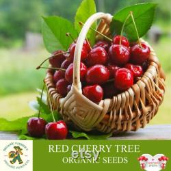 Red Cherry Tree Organic Seeds, 5 Count Red Cherry Tree Seed, Cherry Tree Plant Seeds for Garden and Pot, Non-GMO -Heirloom,Open Pollination