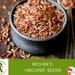 Red Rice Organic Seeds, 100 Count Red Rice Seed, Rice Plant Seeds For Pot And Garden, Non-gmo Heirloom, Open Pollination