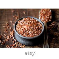 Red Rice Organic Seeds, 100 Count Red Rice Seed, Rice Plant Seeds for Pot and Garden, Non-GMO Heirloom, Open Pollination