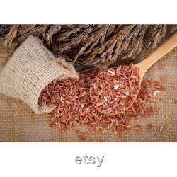 Red Rice Organic Seeds, 100 Count Red Rice Seed, Rice Plant Seeds for Pot and Garden, Non-GMO Heirloom, Open Pollination