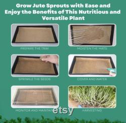 Renu Terra Classic Mats for Growing Microgreens and Leafy Greens, Jute Mats for Indoor Gardening, Hydroponic Growing Pads and Sprouting Tray