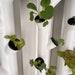 Reusable Algae Control Covers Compatible With Gardyn Hydroponic Systems Flexible Cover For Ypod Ycube Hydroponic Gardening