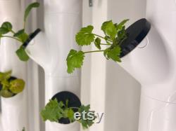 Reusable Algae Control Covers Compatible with Gardyn Hydroponic Systems Flexible Cover for yPod yCube Hydroponic Gardening