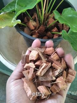 Rice hull coco husk chips coco coir pellet budget pack Burned Rice Husk Ash Hydroponic Substrate Orchids Anthurium and orchid other Plants