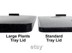 Rigid Large Plants Tray Lid for Rise Gardens