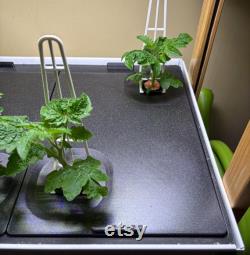Rigid Large Plants Tray Lid for Rise Gardens