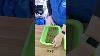 Rockwool Seedling Guide Key Steps For Successful Plant Growth Seeding Hydroponics