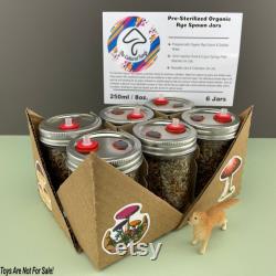 Rye Grain Spawn Jars for Mushroom Growing (Pre-sterilized 6 Jars 250 ml. Each)