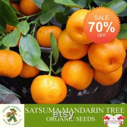 Satsuma Mandarin Tree Organic Seeds, 10 Count Mandarin Tree Seed, Mandarin Plant Seeds for Garden and Pot,Non-GMO-Heirloom,Open Pollination