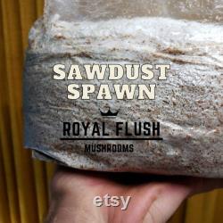 Sawdust Spawn Bag 30 Varieties