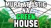 Secret Revealed Para Makatipid Sa Paggawa Ng Green House For Hydroponics