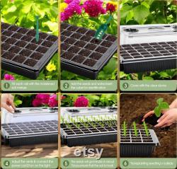 Seed Starter Kit with Grow Lights 40 Cell Tray, Humidity Dome and LED Strip, Indoor Nursery Pot Greenhouse Kit for DIY Gardening