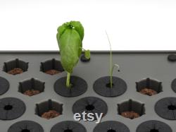 Seed Starter Tray Algae Control Covers Compatible with Aerogarden Seed Starter Trays (Bounty 2019, Harvest and Farm) Hydroponic Gardening