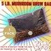 Seismic Mix Mushroom Grow Bag Large 5 Lb. All In One Grow Bag