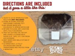 Seismic Mix Mushroom Grow Bag Large 5 lb. All In One Grow Bag