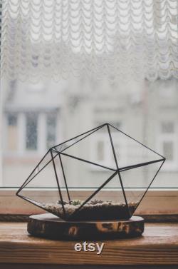 Set of two Strange Shape Glass Terrariums Perfect Christmas gift Gold Silver Black terrariums Geometric decor