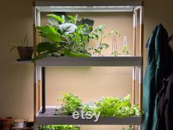 Shelf Risers for Rise Gardens (Gen 2)