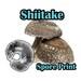 Shiitake (lentinula Edodes) (wide Temp Range) Spore Print