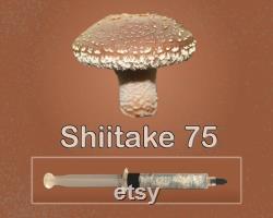 Shiitake Mushroom Liquid Culture