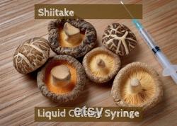 Shiitake Mushroom Liquid Culture Syringe for Grain Spawn, Coco Coir, and Mushroom Cultivation Indoor Herb Gardens and Mushroom Grow Kits