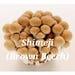 Shimeji (brown Beech) Mushroom Liquid Culture Syringe