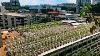 Singapore S Bold Plan To Build The Farms Of The Future