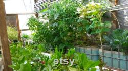 Six Aquaponics Fail Safe 12 Bell Siphon Kits, IBC Grow Bed W 1 Clear Top Bell, Save 30.00