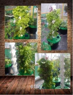 Small Vertical Hydroponic Aeroponic Grow Tower