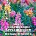 Snapdragon, Appleblossom, 50 Count Organic Seeds, Heirloom Flower, Multicolored With Gold Undertone Blooms, Cut Flowerandarrangements
