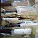 Spore Syringe Vendor Pack 50 Of Your Choice Golden Teacher