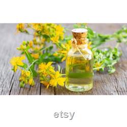 St. John's Wort Organic Seeds, 30 Count St. John's Wort Seed, St. John's Wort Seeds for Pot and Garden, Non-GMO Heirloom,Open Pollination