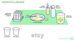 Starter Tissue Culture Kit 108 Tube. Microclone