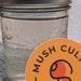 Sterile Liquid Culture Withmyco Lid Pint Jar