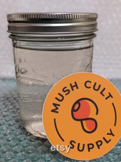Sterile Liquid Culture withmyco lid pint jar