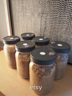 Sterile Millet Jar 6 Pack