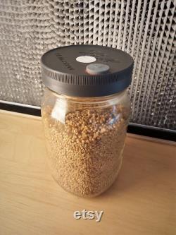 Sterile Millet Jar 6 Pack