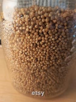 Sterile Millet Jar 6 Pack