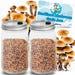 Sterile Mushroom Grain Jars, Sterilized Hydrated Grain Spawn 32 Oz Glass Jars With Injection Port And Filter Milo, Oyster Shells, Gypsum