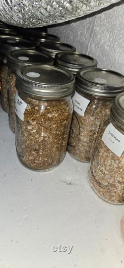 Sterile Quart Grain Jar, Popcorn