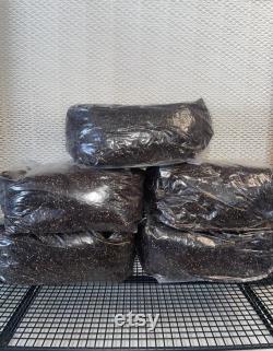 Sterilized (CVG) 3.5 LB Substrate Bags