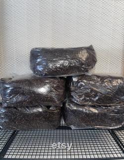 Sterilized (CVG) 3.5 LB Substrate Bags