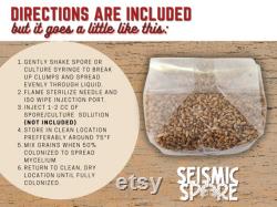 Sterilized Grain Spawn Bag, Rye Berry Substrate Grow Bag for Mushroom Cultivation with Injection Port, 2 lbs.